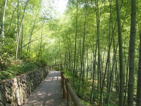 奉化溪口雪窦山风景名胜区