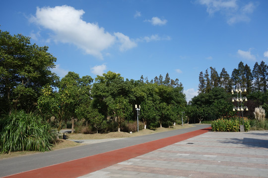 长兴岛郊野公园