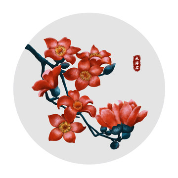 木棉花