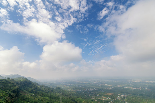 蒲江生态柑橘林山