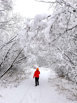 激流河秋雪