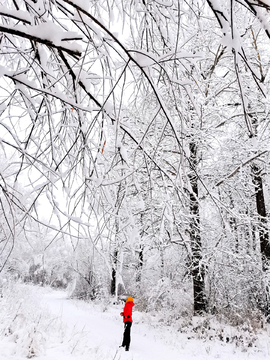 漂亮的雪挂