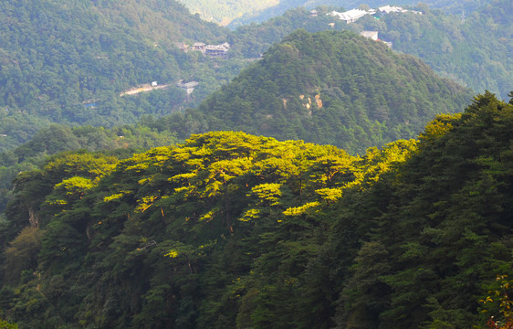 泰山风光