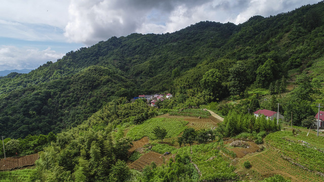 高山村庄