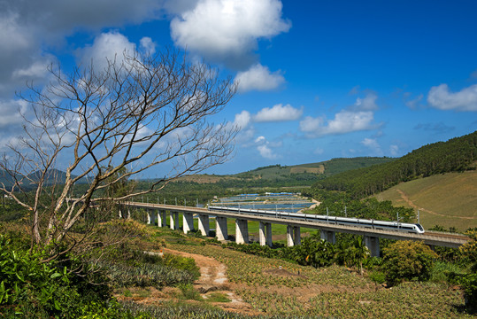 海南环岛高铁的动车