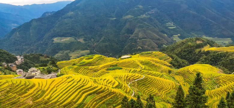 龙胜梯田