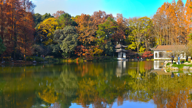 杭州植物园秋景