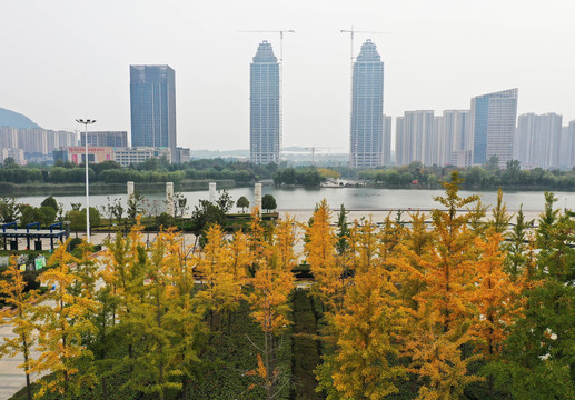 山东枣庄凤鸣湖公园