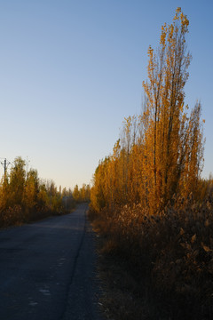 乡间小路