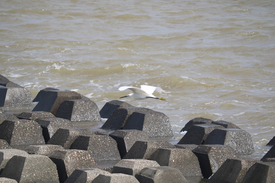 珠海澳门风光与珠海日月贝大剧院