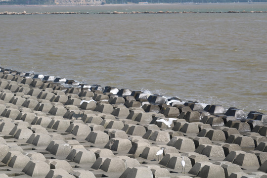 珠海澳门风光与珠海日月贝大剧院