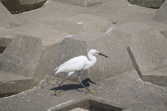 珠海澳门风光与珠海日月贝大剧院