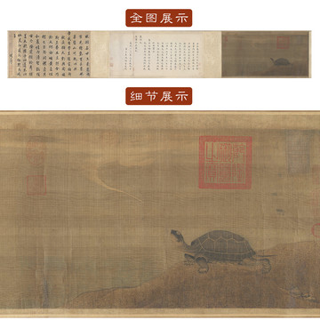  張珪神龜圖
