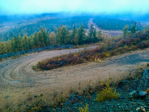 森林盘山路