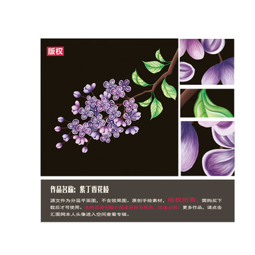 紫丁香圖片