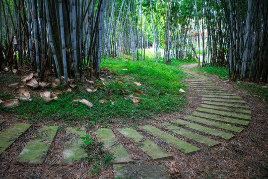 竹林小道