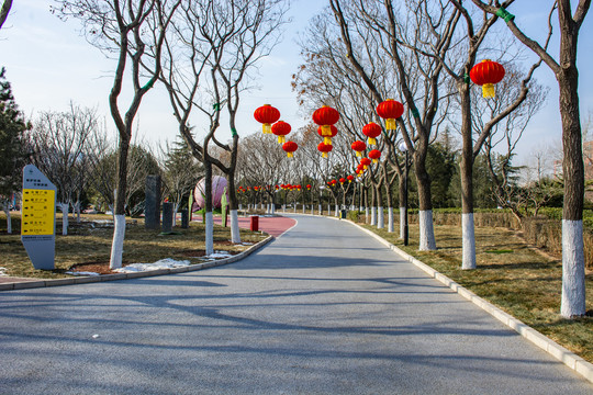 公園紅燈籠