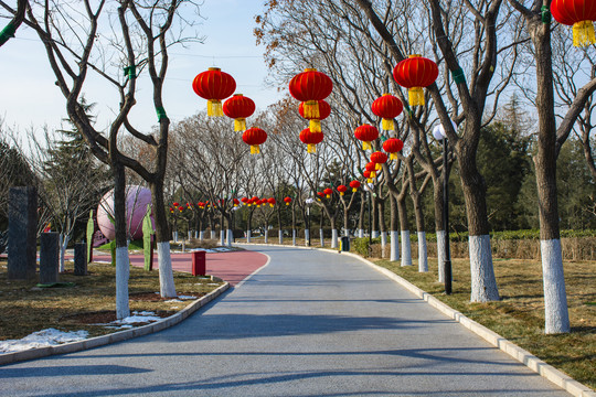 公園節日裝扮紅燈籠