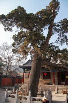 交城卦山景区天宁寺