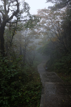 雨中峨眉