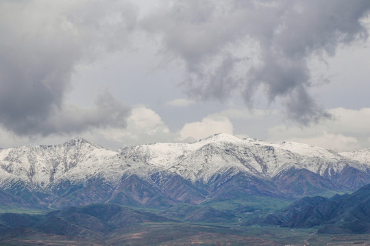 青海草原雪山