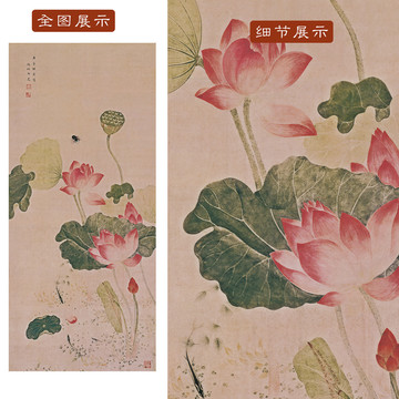 吳應貞荷花圖