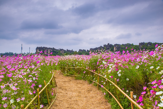 花径