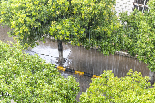 阴雨绵绵