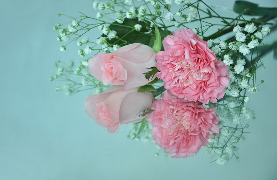 康乃馨和玫瑰花