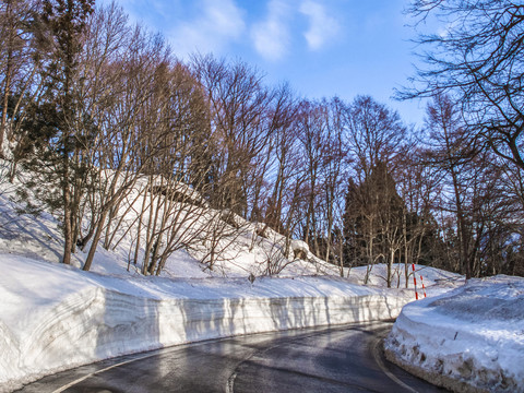 雪地公路