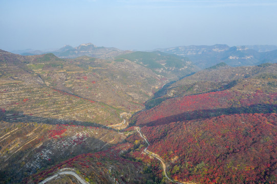 航拍济南章丘赵家岭村红叶042