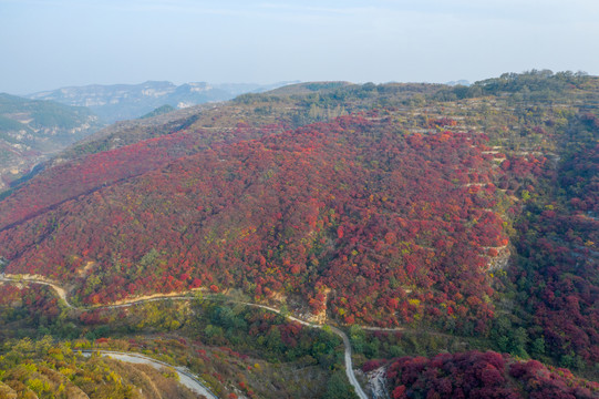 航拍济南章丘赵家岭村红叶044