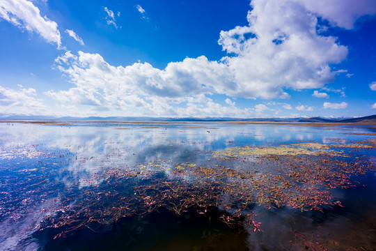 尕海湖