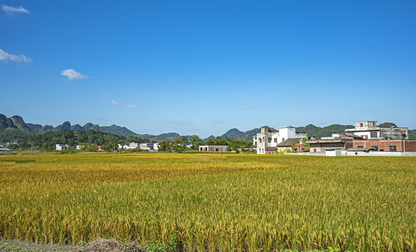 田园风光