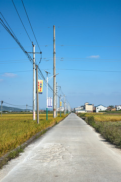 乡村道路