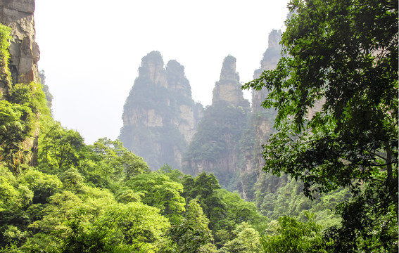 张家界索溪峪