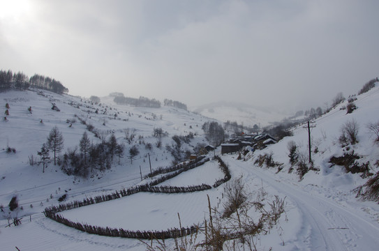 冰天雪地