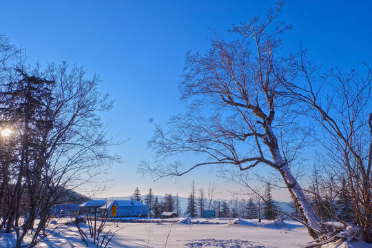 东北雪场