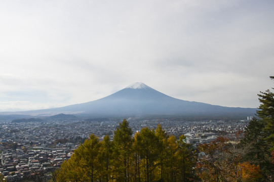 富士山下