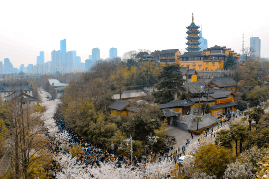 春天的鸡鸣寺