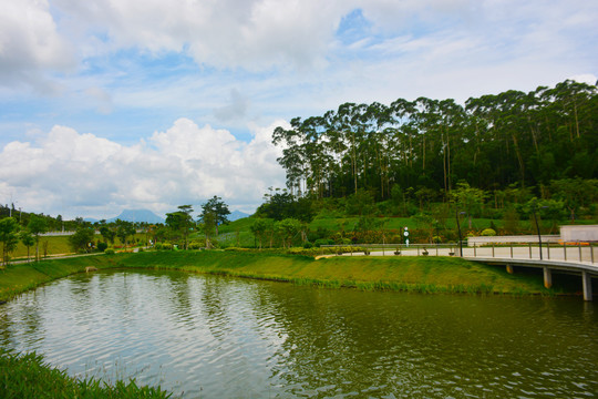 金星湖湿地公园风景