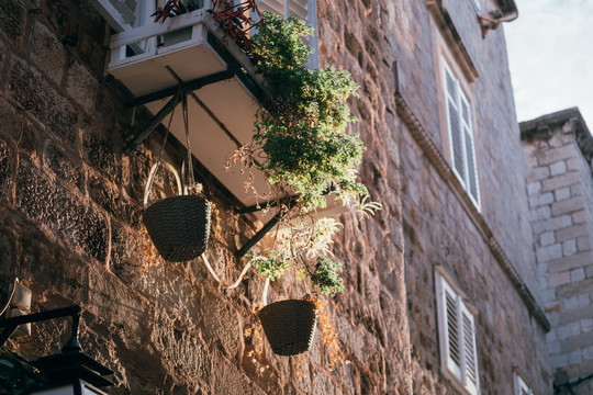 复古欧式窗台和垂挂着的植物