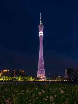 广州塔夜景