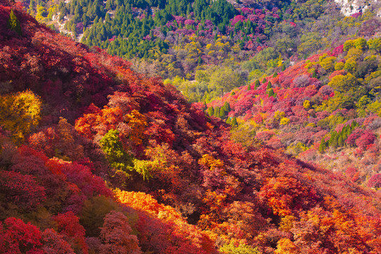 山谷秋景