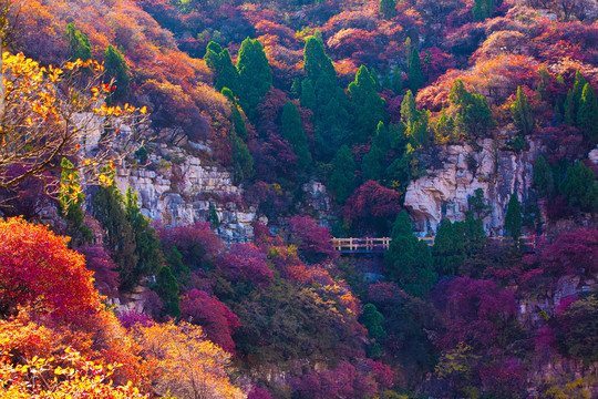 山谷秋色