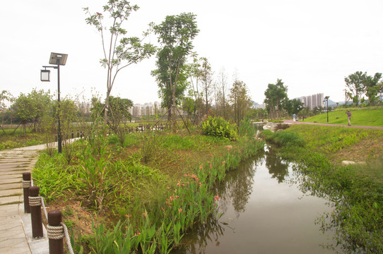 湿地公园小景