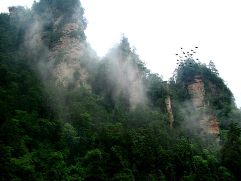 张家界山峰