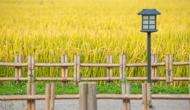 田园风光