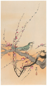 小原古村黃梅