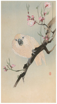 小原古村桃花和鹦鹉